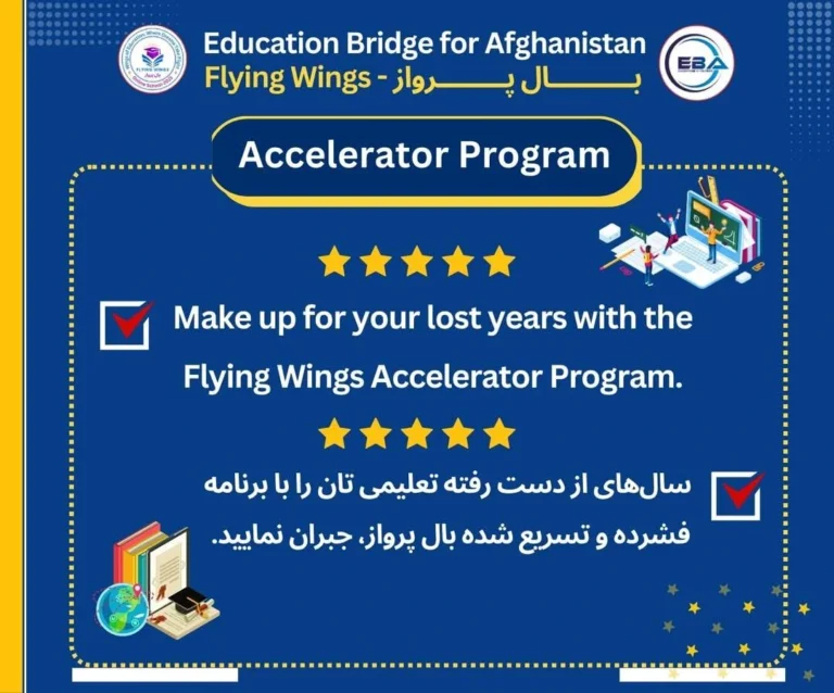 Flying Wings Accelerator Program